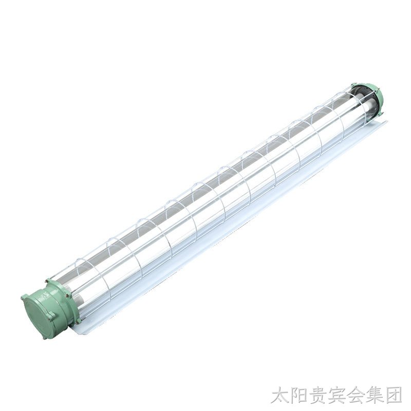 Z03系列防爆支架灯